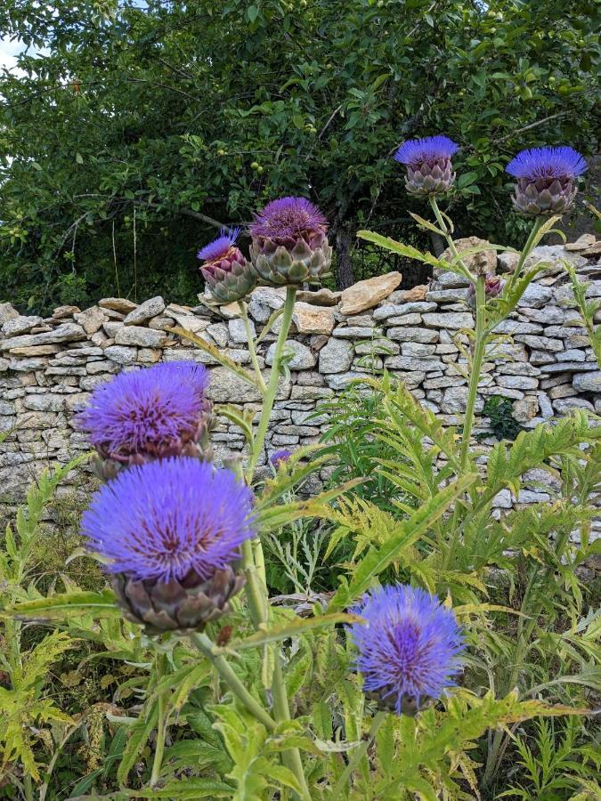 La Grange Symphorine, Chambre D'Hotes De Charme Situee Entre La Vallee De La Dordogne Et La Vallee De La Vezere Meyrals Экстерьер фото