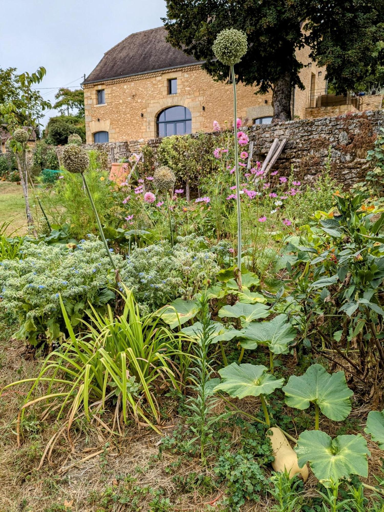 La Grange Symphorine, Chambre D'Hotes De Charme Situee Entre La Vallee De La Dordogne Et La Vallee De La Vezere Meyrals Экстерьер фото
